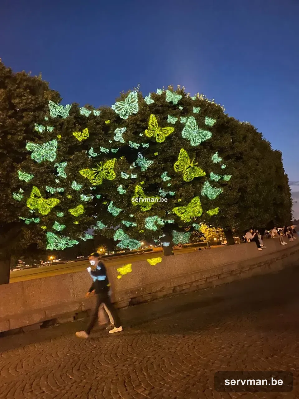 Projector All 006